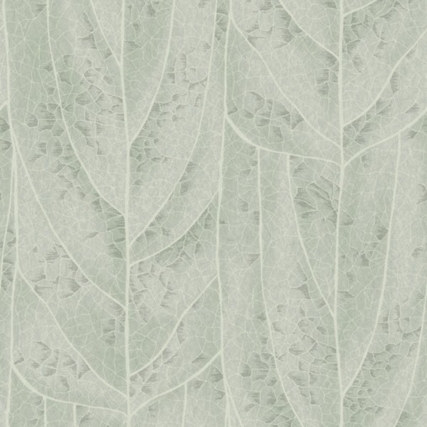 Dicot Spa Leaf Wallpaper
