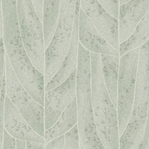 Dicot Spa Leaf Wallpaper