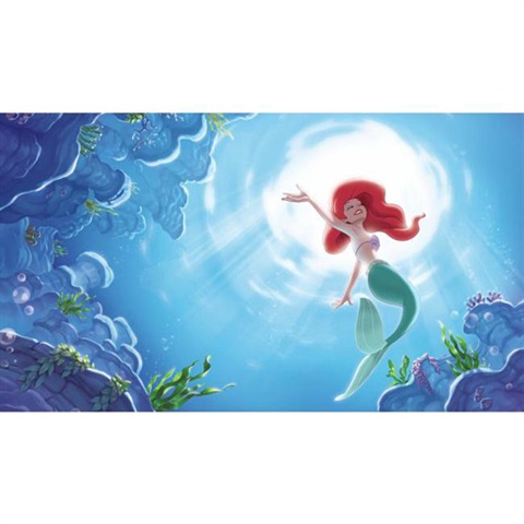 Disney Princess The Little Mermaid 'Part Of Your World' Xl Chair Rail 