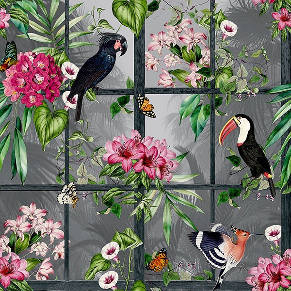 Dorothea Multicolor Tropical Birds Wallpaper