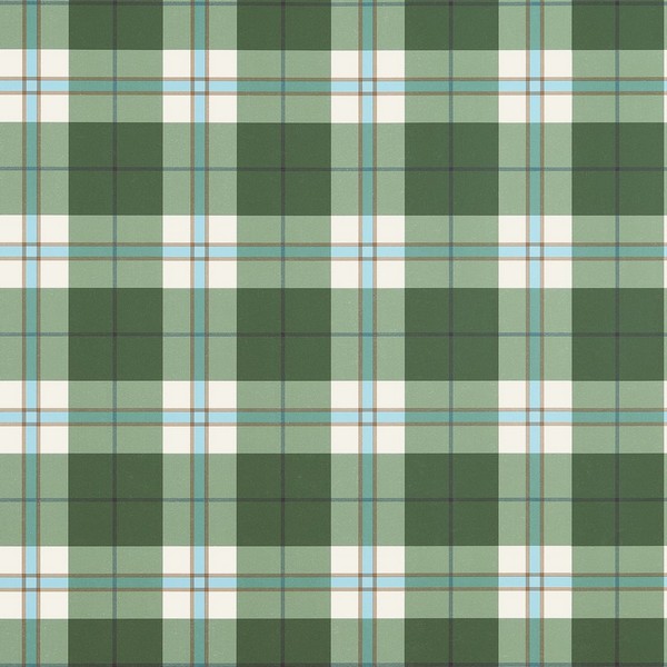 Douglas Plaid Green Wallpaper