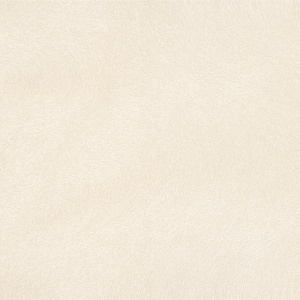 Dunes Wallpaper
