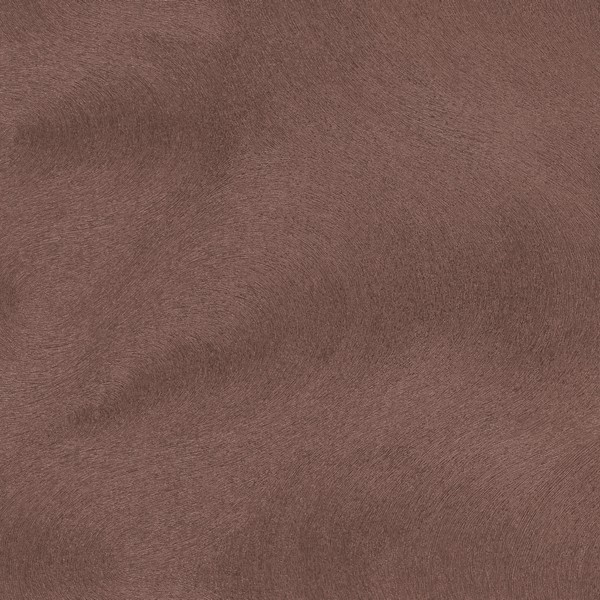 Dunes Wallpaper