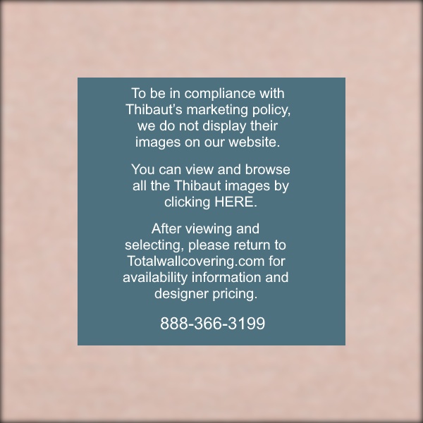 Edward’s Paper Adobe Paperweave Grasscloth Wallpaper