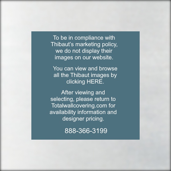 Edward’s Paper Metallic Silver Paperweave Grasscloth Wallpaper