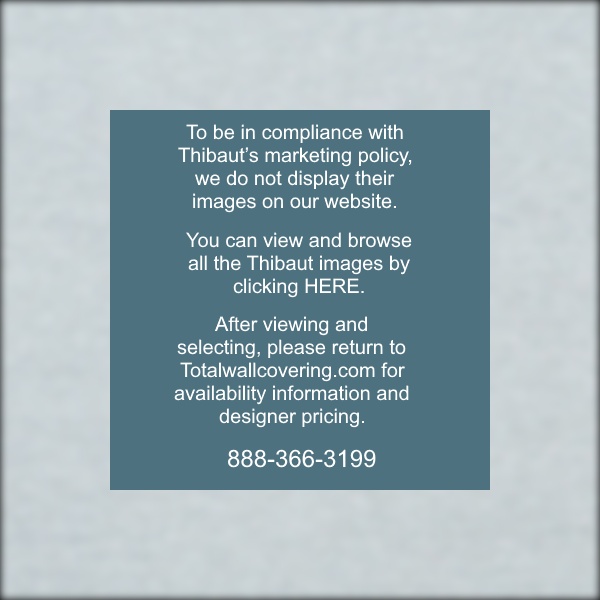 Edward’s Paper Robin’s Egg Paperweave Grasscloth Wallpaper