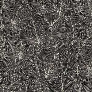 Eilian Black Palm Wallpaper