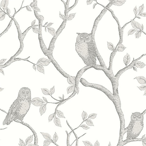 Enchanted Forest Grey Owl & Tree Wallpaper