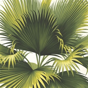 Endless Summer Green Palm Wallpaper