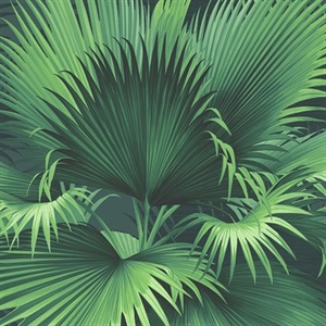 Endless Summer Dark Green Palm Wallpaper