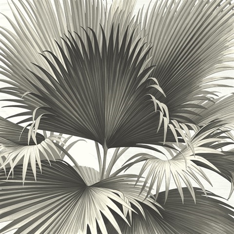 Endless Summer Black Palm Wallpaper