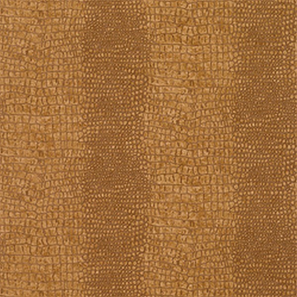 Everglades Wallpaper