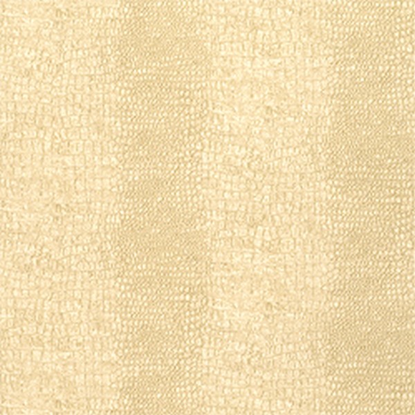 Everglades Wallpaper