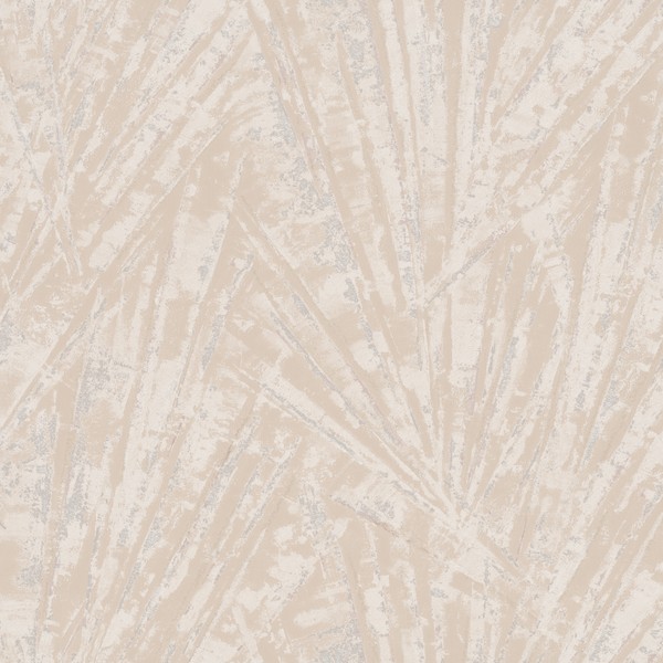 Fan Palm Wallpaper