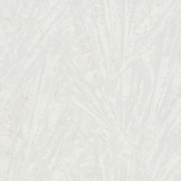 Fan Palm Wallpaper