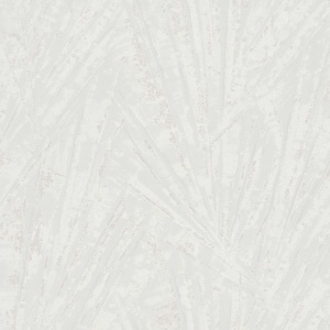 Fan Palm Wallpaper