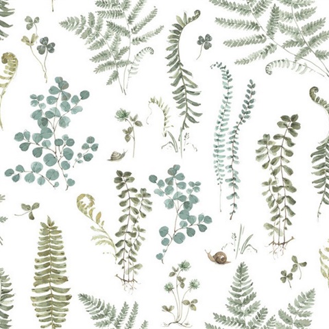 Fern Study Peel & Stick Wallpaper