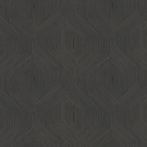 Fine Line Black Geometric Wallpaper