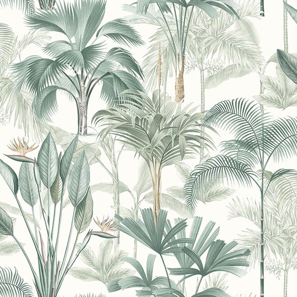 Freda Green Palm Trees Wallpaper
