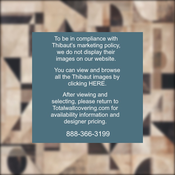 Galaxy Mural Graphite and Champagne Wallpaper