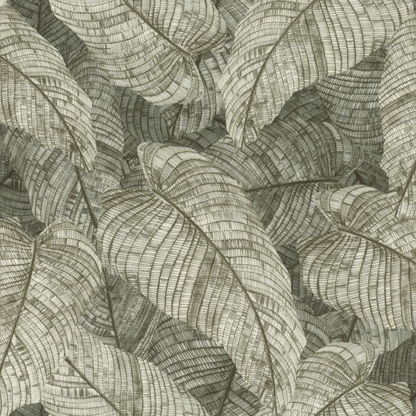 Galner Moss Leaves Wallpaper