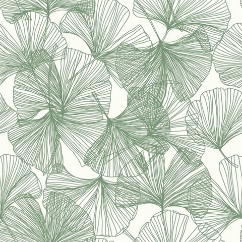 Gingko Leaves P & S Wallpaper