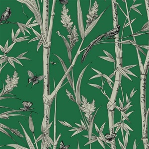Green Bambou Toile Wallpaper