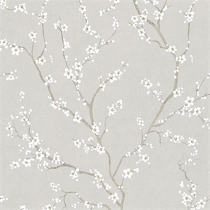 Cherry Blossom P & S Wallpaper