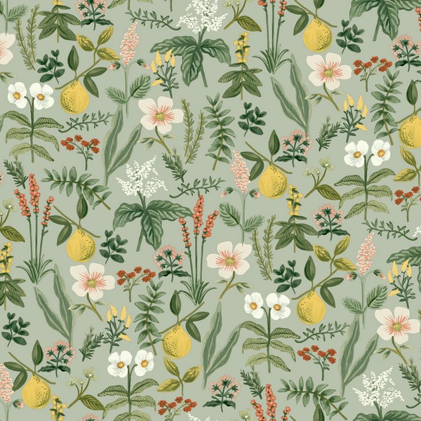 Herb Garden Sage Botanical Premium Peel + Stick Wallpaper