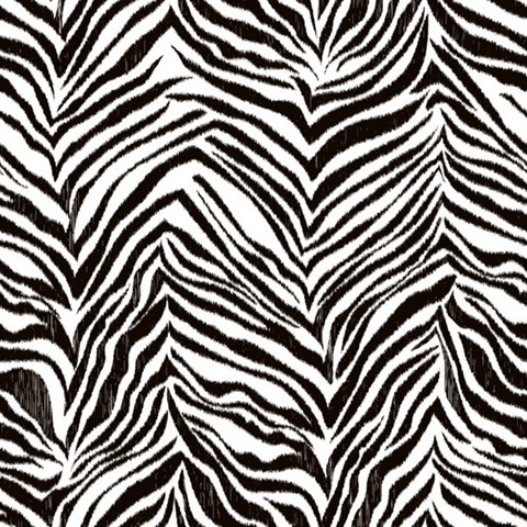 Ikat Zebra