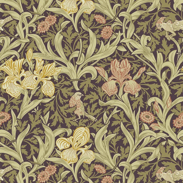 Iris Plum Wild Gardens Wallpaper