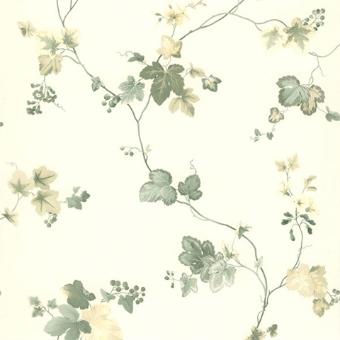 Ivy Green Ivy Wallpaper