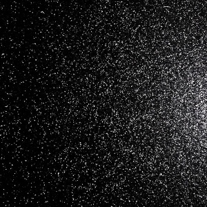 Jacqueline Black Sequin Wallpaper