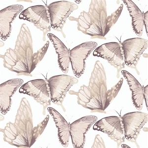 Janetta Blush Butterfly Wallpaper