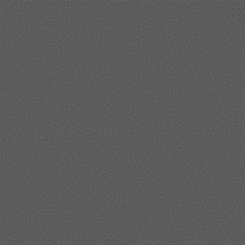 Jia Li Charcoal Wool Wallpaper