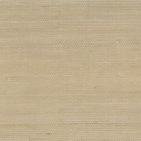 Jute