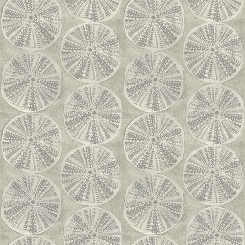 Sea Biscuit Grey Sand Dollar Wallpaper