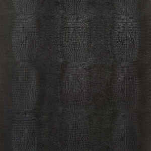 Kissimmee Black Wallpaper