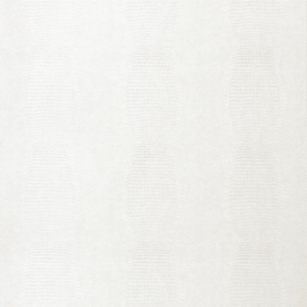 Kissimmee White Wallpaper