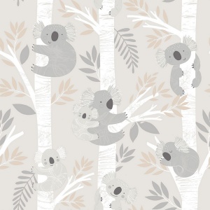 Koalas Wallpaper