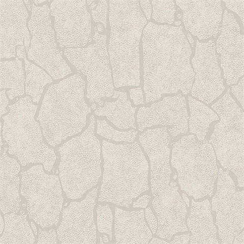 Kordofan Bone Giraffe Wallpaper