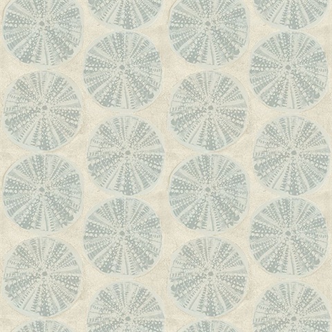 Sea Biscuit Aqua Sand Dollar Wallpaper