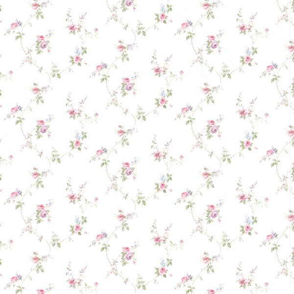 Laura's Trail Wallpaper