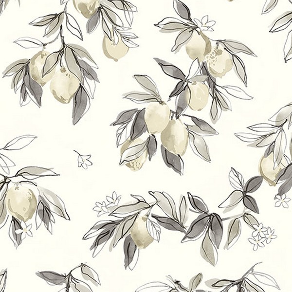 Lemonade Charcoal Citrus Wallpaper