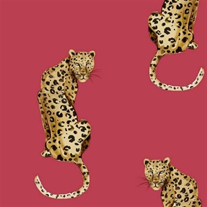 Leopard King Wallpaper