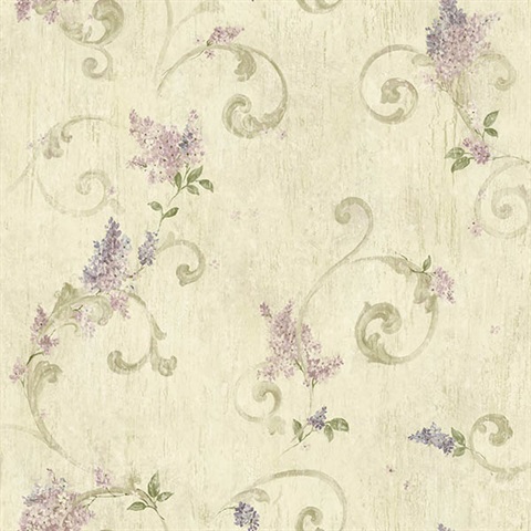 Lilac Acanthus