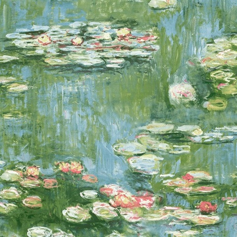 Lily Pond
