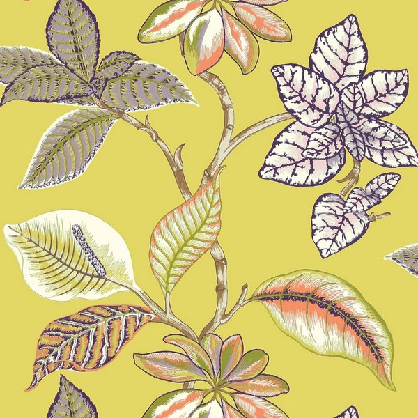 Lucala Citron Wallpaper