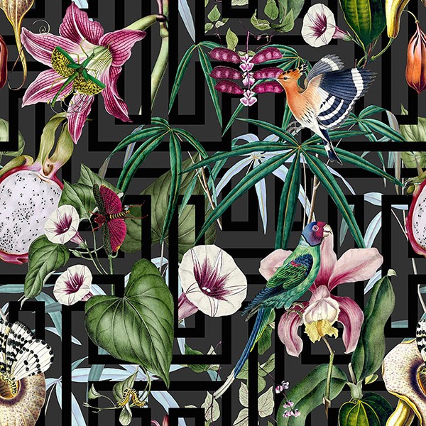 Lucretia Multicolor Tropical Wallpaper