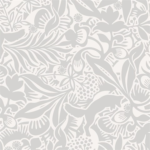 Lummig Grey Fox Wallpaper